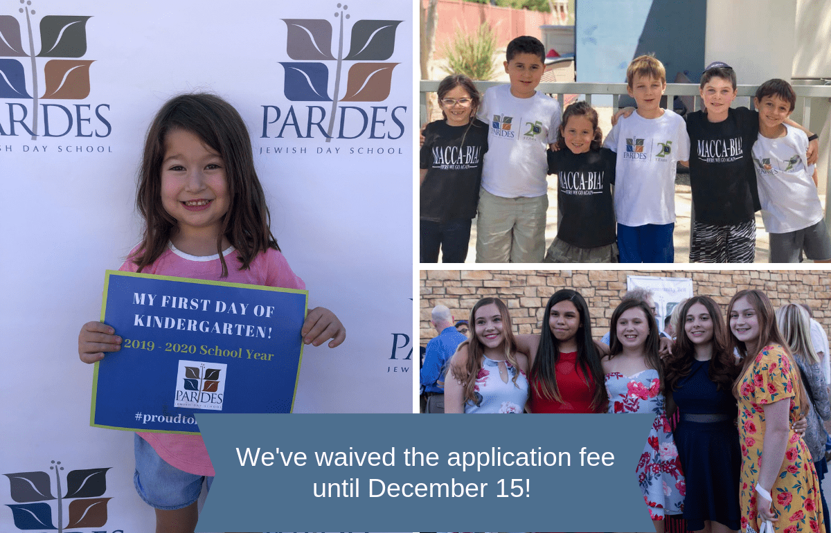 pardes jewish day school pardes jewish day school